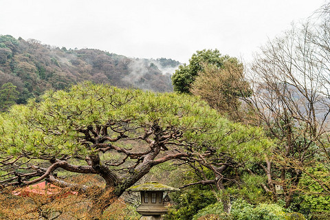 京都翠岚豪华精选 Suiran, a Luxury Collection Hotel, Kyoto