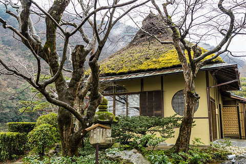 京都翠岚豪华精选 Suiran, a Luxury Collection Hotel, Kyoto