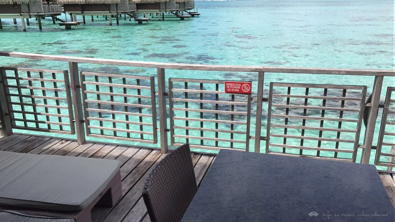 ̫ƽϵһ顪ϪHilton Moorea Lagoon Resort & Spa