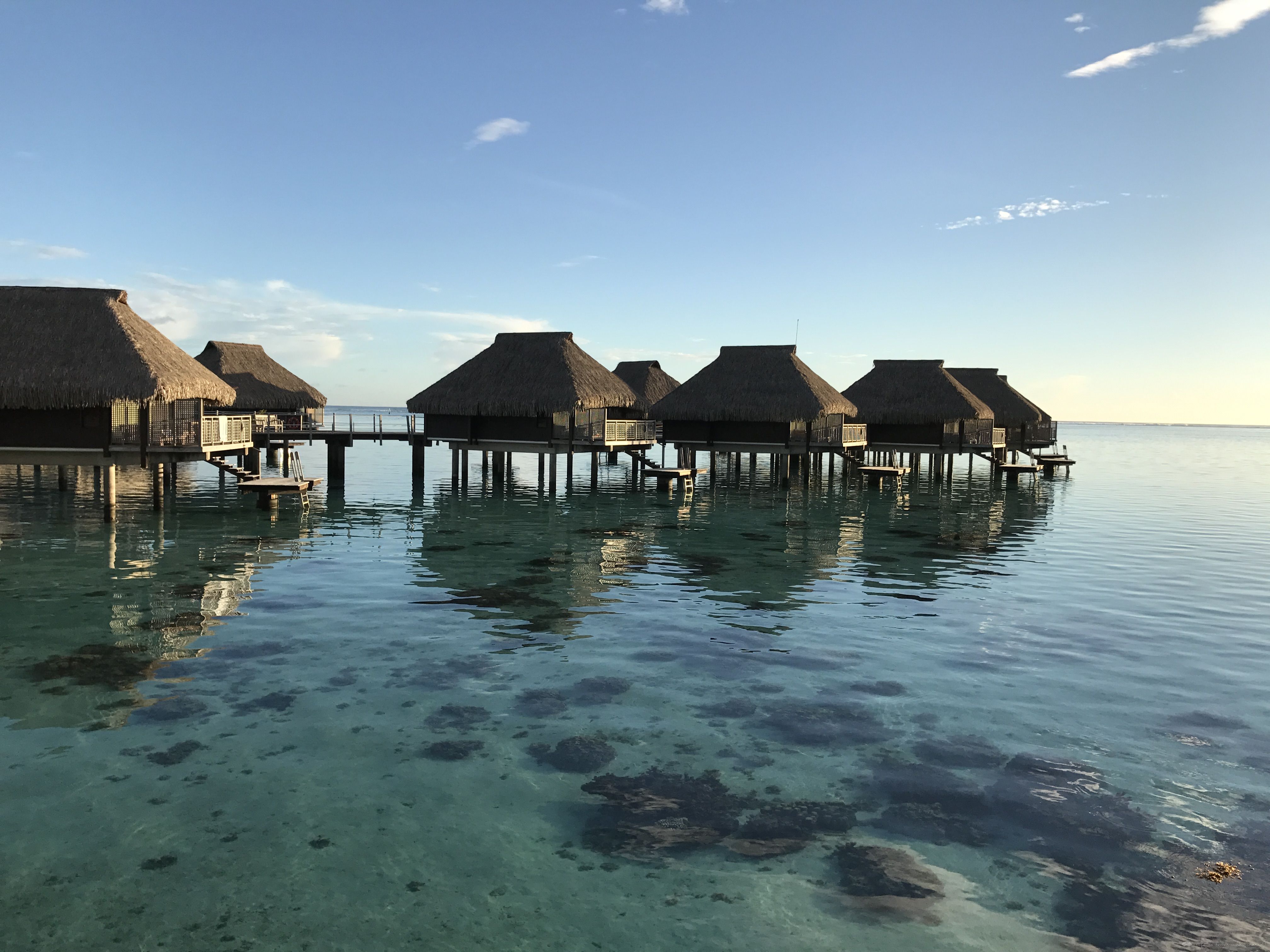 ̫ƽϵһ顪ϪHilton Moorea Lagoon Resort & Spa