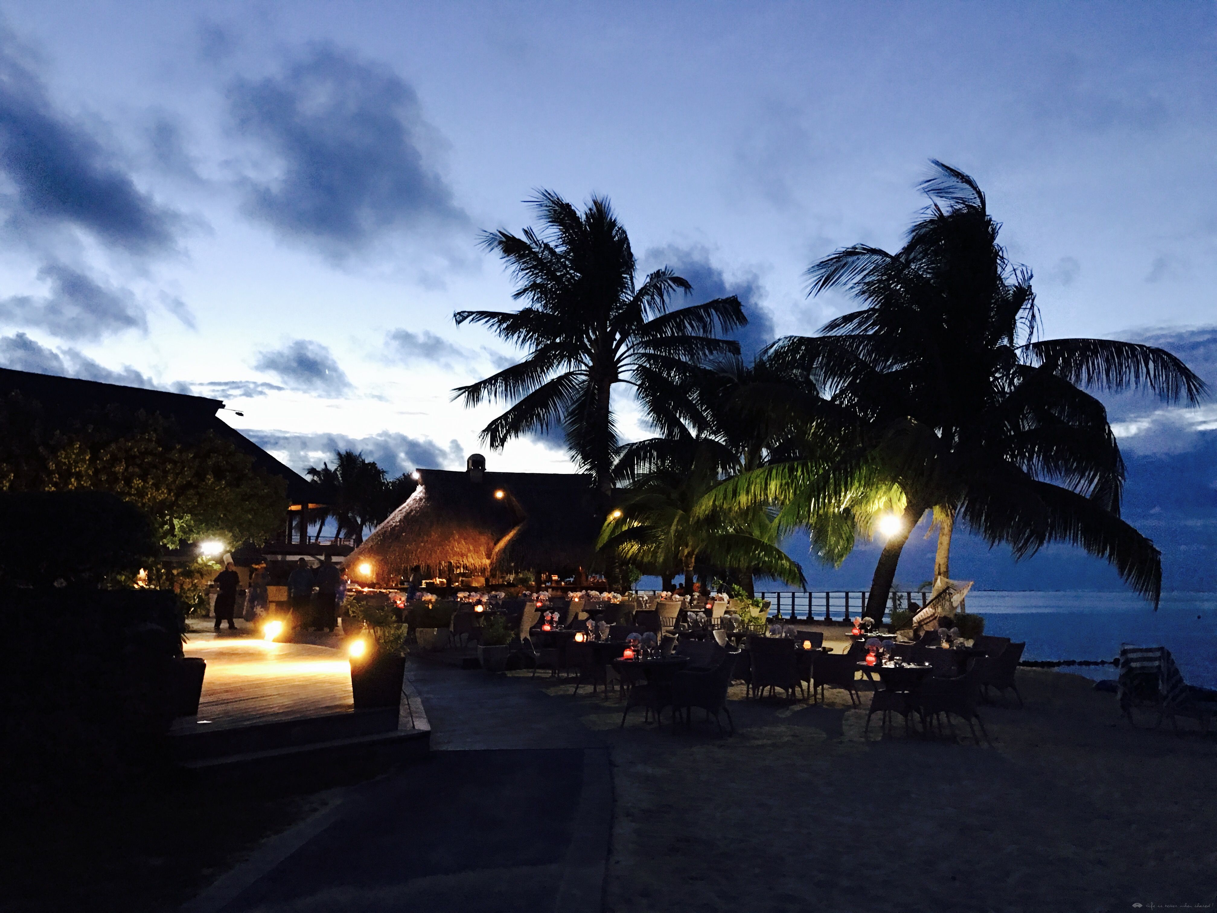 ̫ƽϵһ顪ϪHilton Moorea Lagoon Resort & Spa