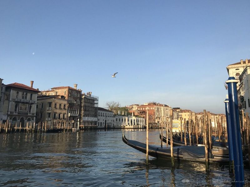 ´ͼThe Gritti Palace + ˹Le Calandre