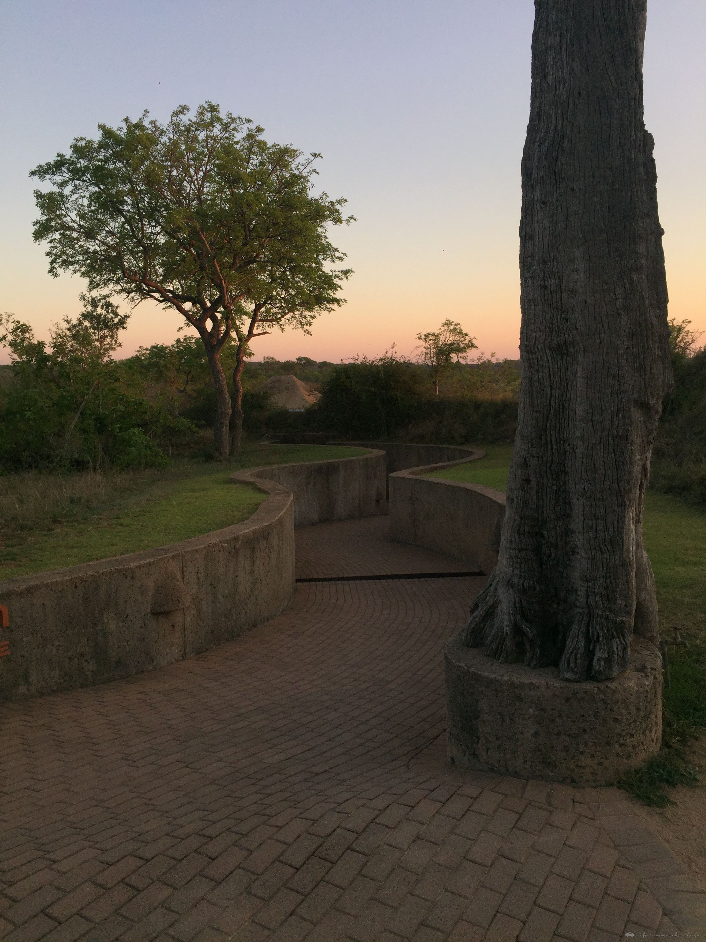 [Ϸ] Sabi Sabi Earth Lodge