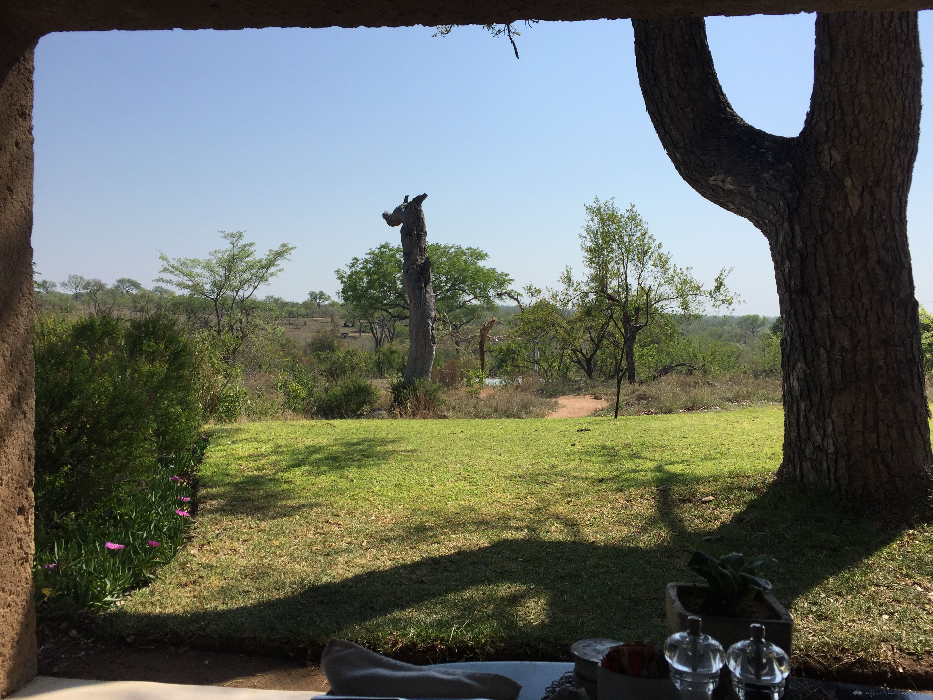 [Ϸ] Sabi Sabi Earth Lodge