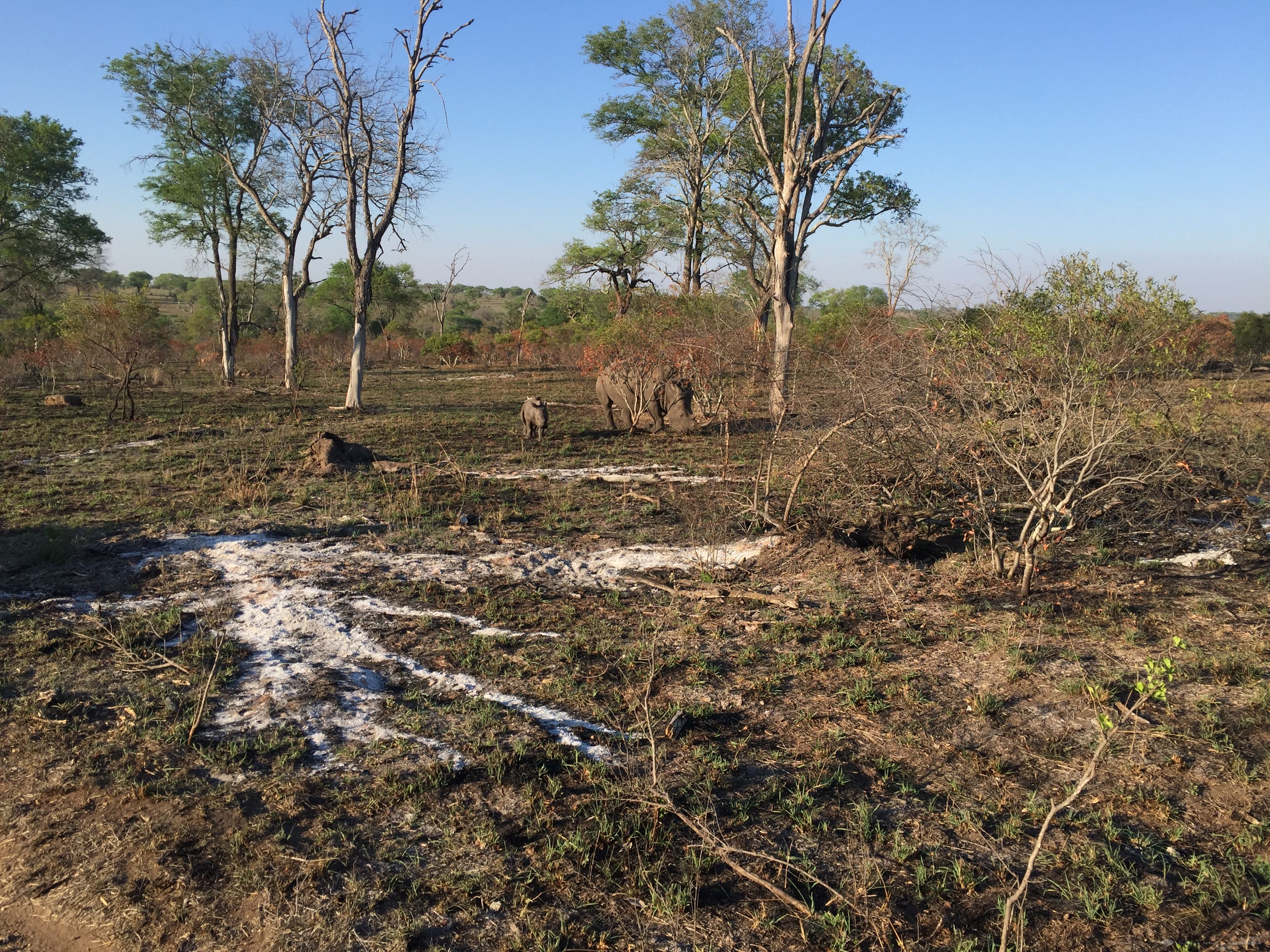 [Ϸ] Sabi Sabi Earth Lodge