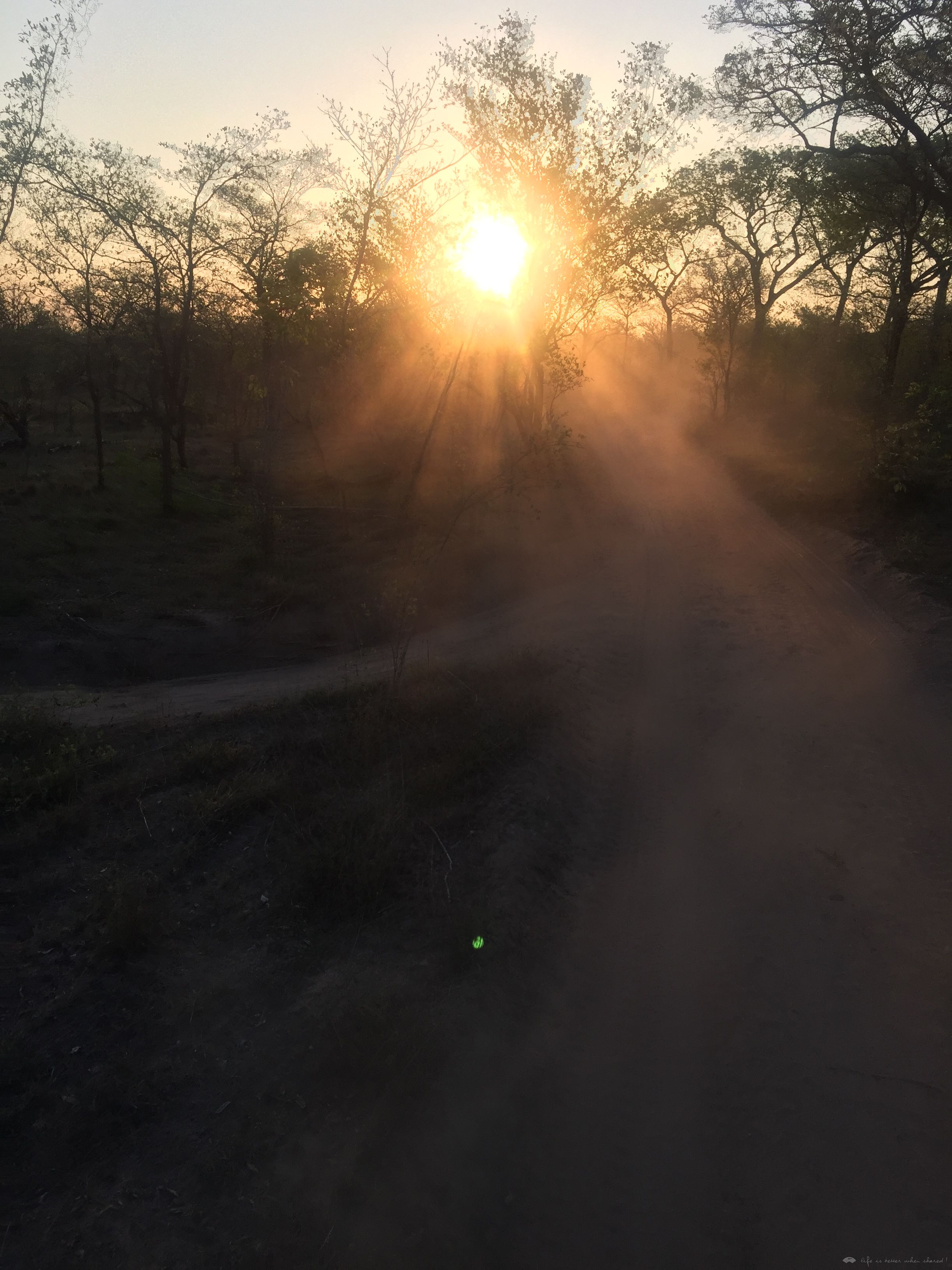 [Ϸ] Sabi Sabi Earth Lodge