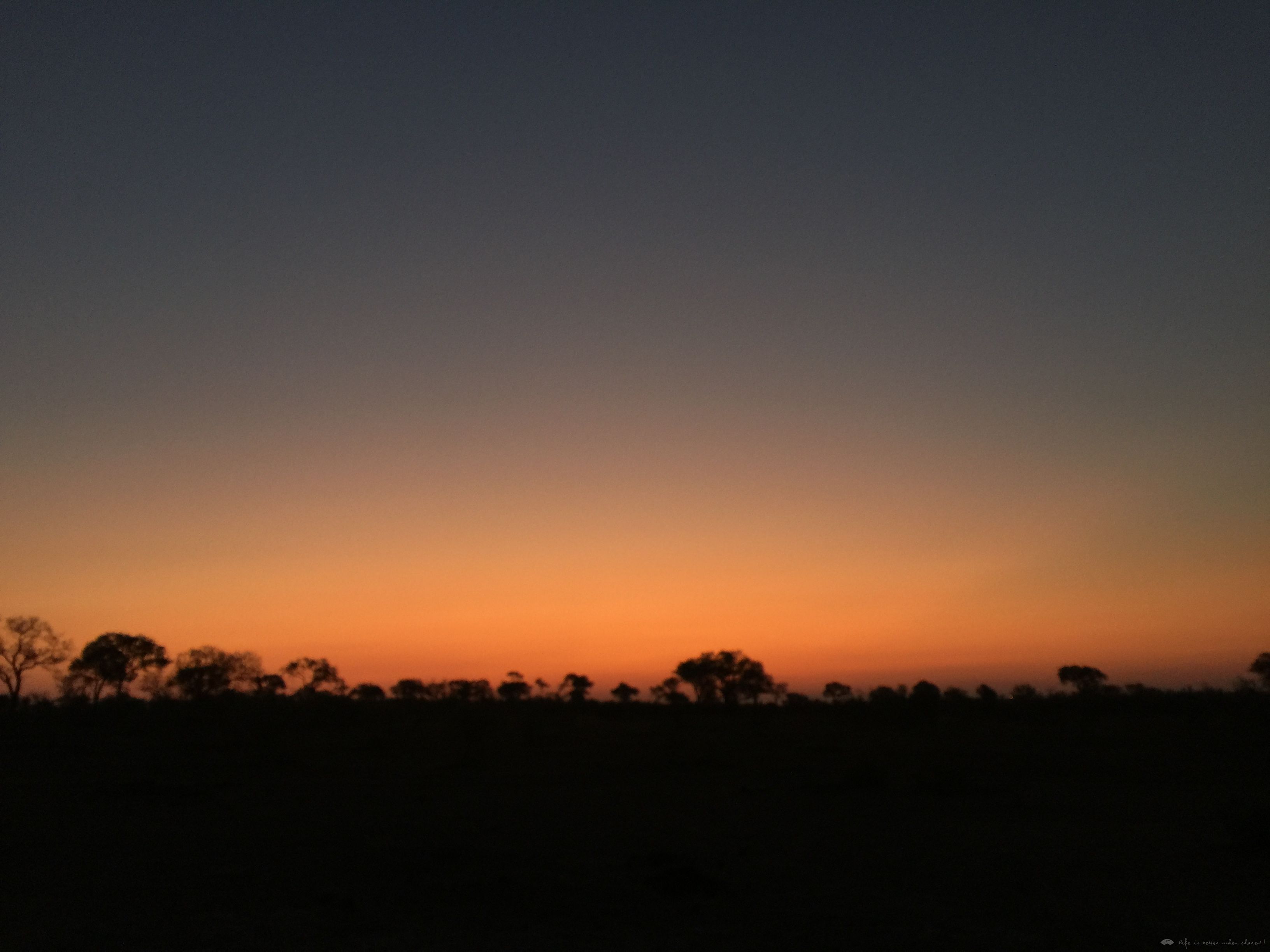 [Ϸ] Sabi Sabi Earth Lodge