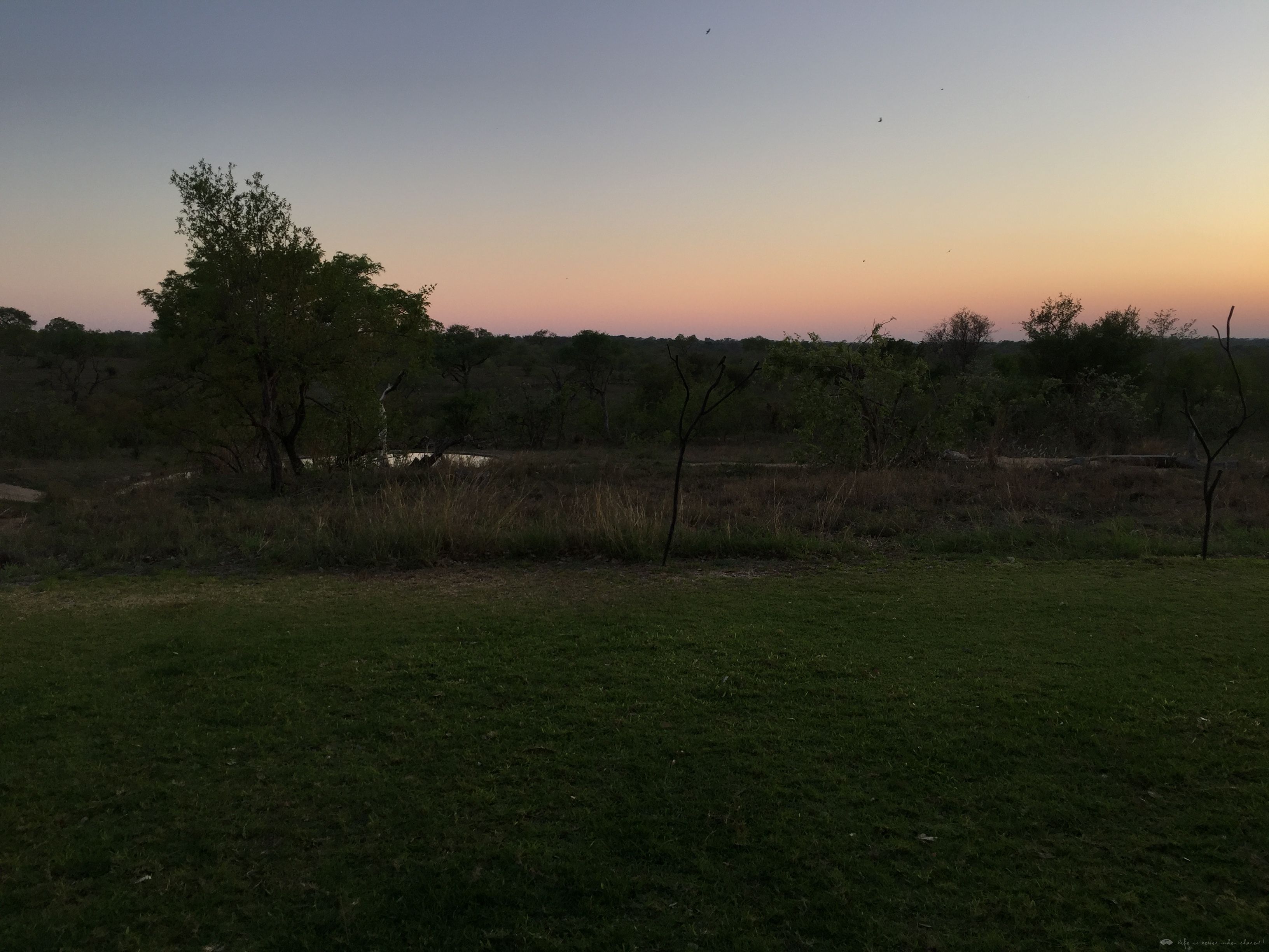 [Ϸ] Sabi Sabi Earth Lodge