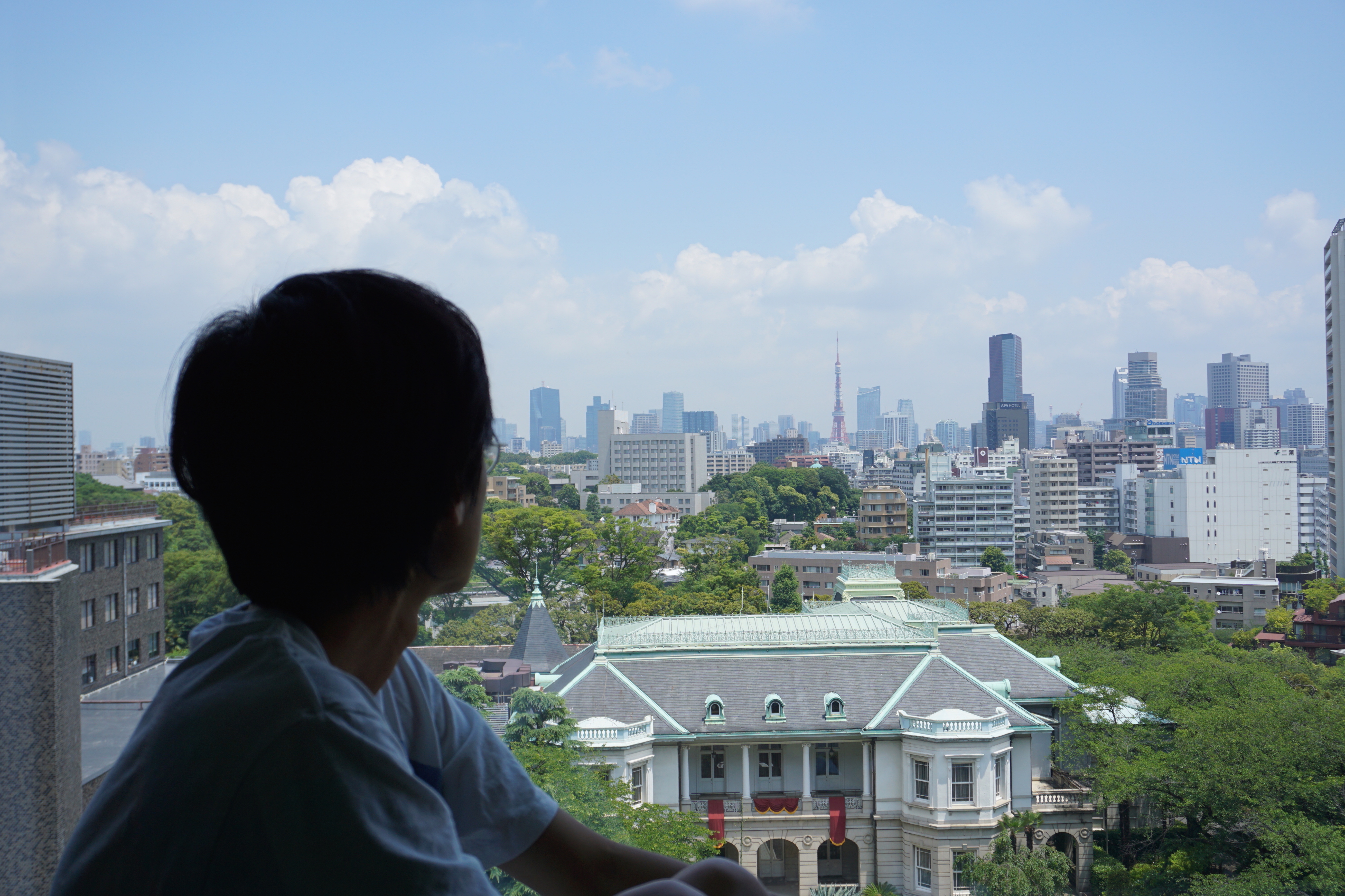The Prince Sakura Tower Tokyo ϵ