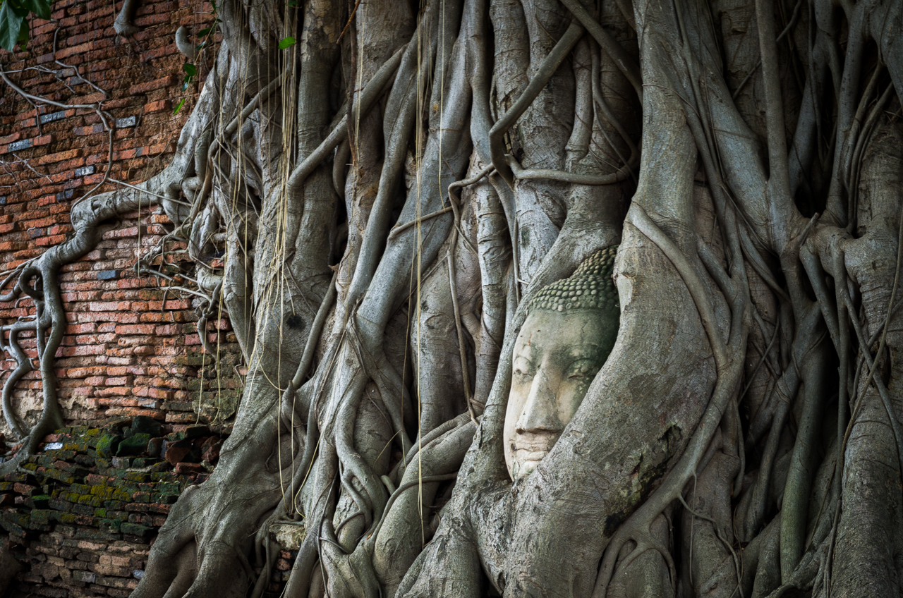 ̩boutiquesala ayutthayasala rattanakosin