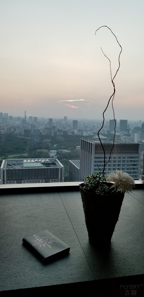 东京安缦-喧嚣城市的净土（Aman report 2）
