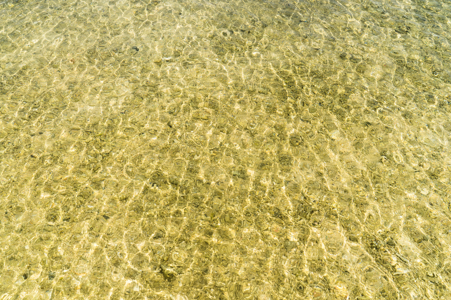 ȼپƵ Okinawa Marriott Resort and Spa