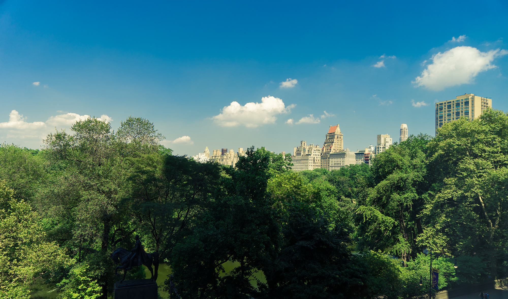 ŦԼ빫԰˼ The Ritz-Carlton, New York Central Park - Parkview Room