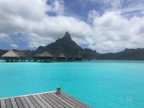 IMG_9921.JPG