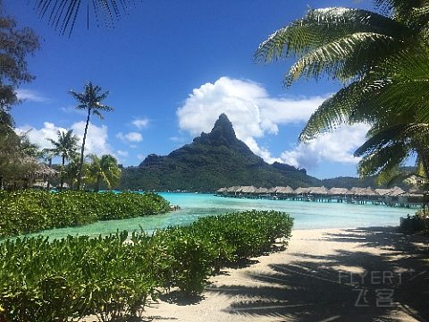 IMG_0925.JPG