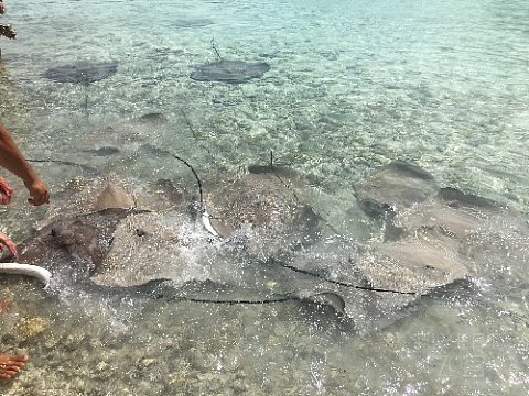 IMG_1418.JPG