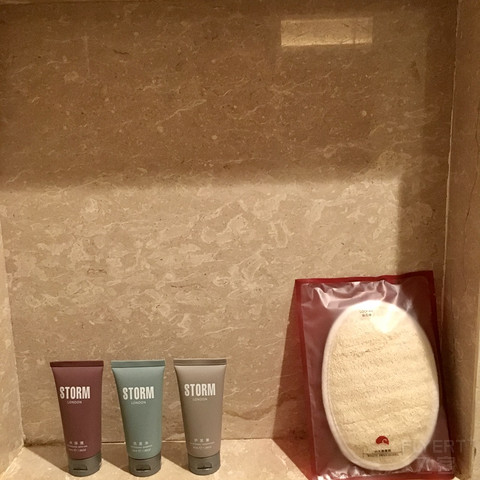 内陆第一家5星酒店，广州白天鹅出乎意料的赞，泳池是最爱！