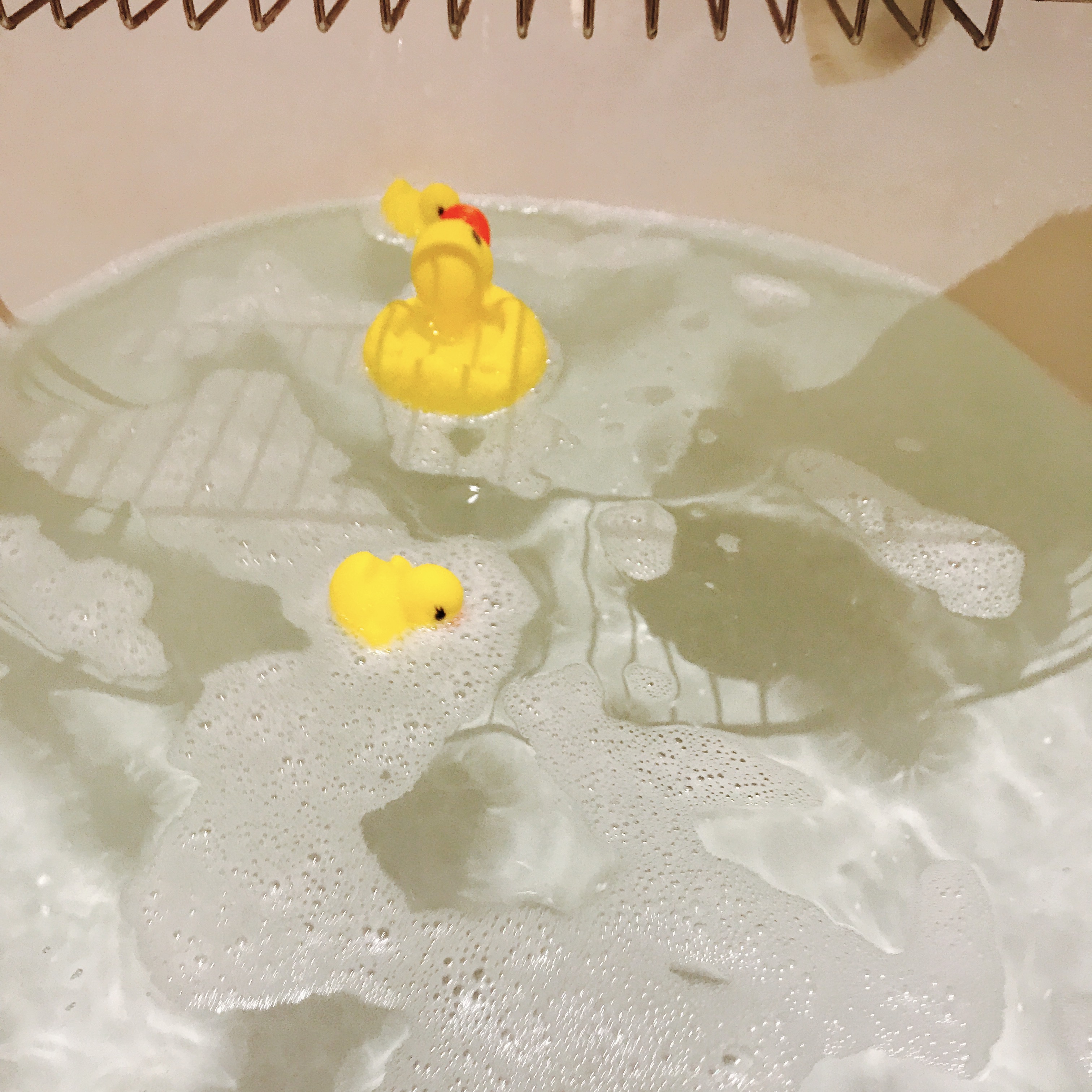 ĺѡȼپƵ  ĺ׷