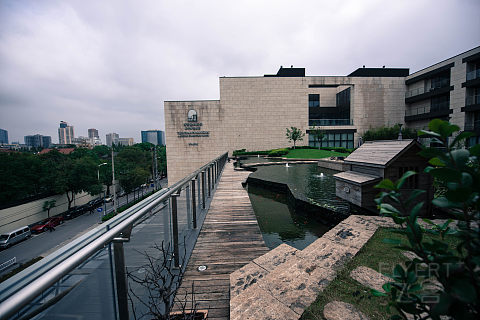 DSC_9113.jpg