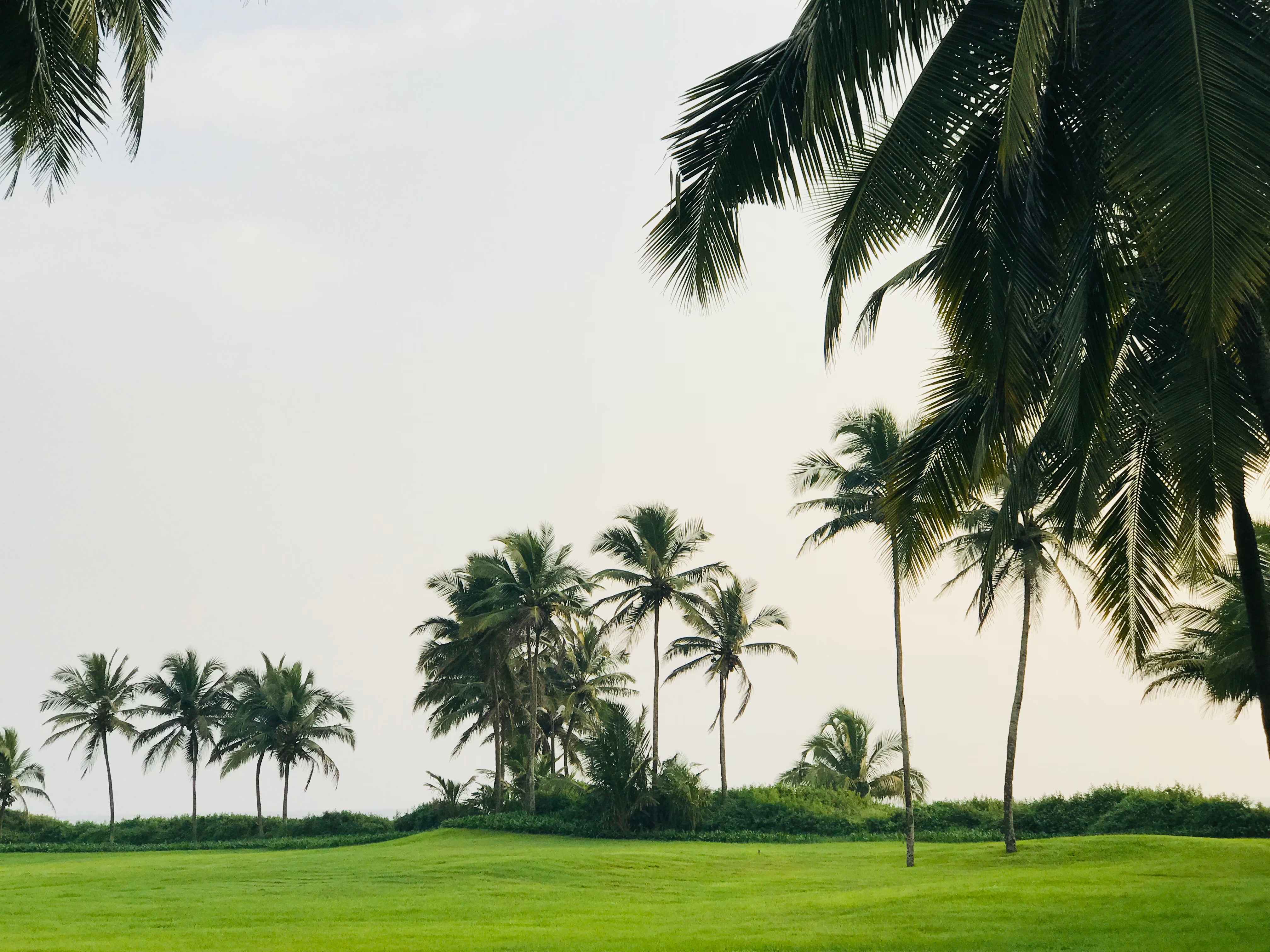 һ㶼ӡ | Park Hyatt Goa - Lagoon View King Suite