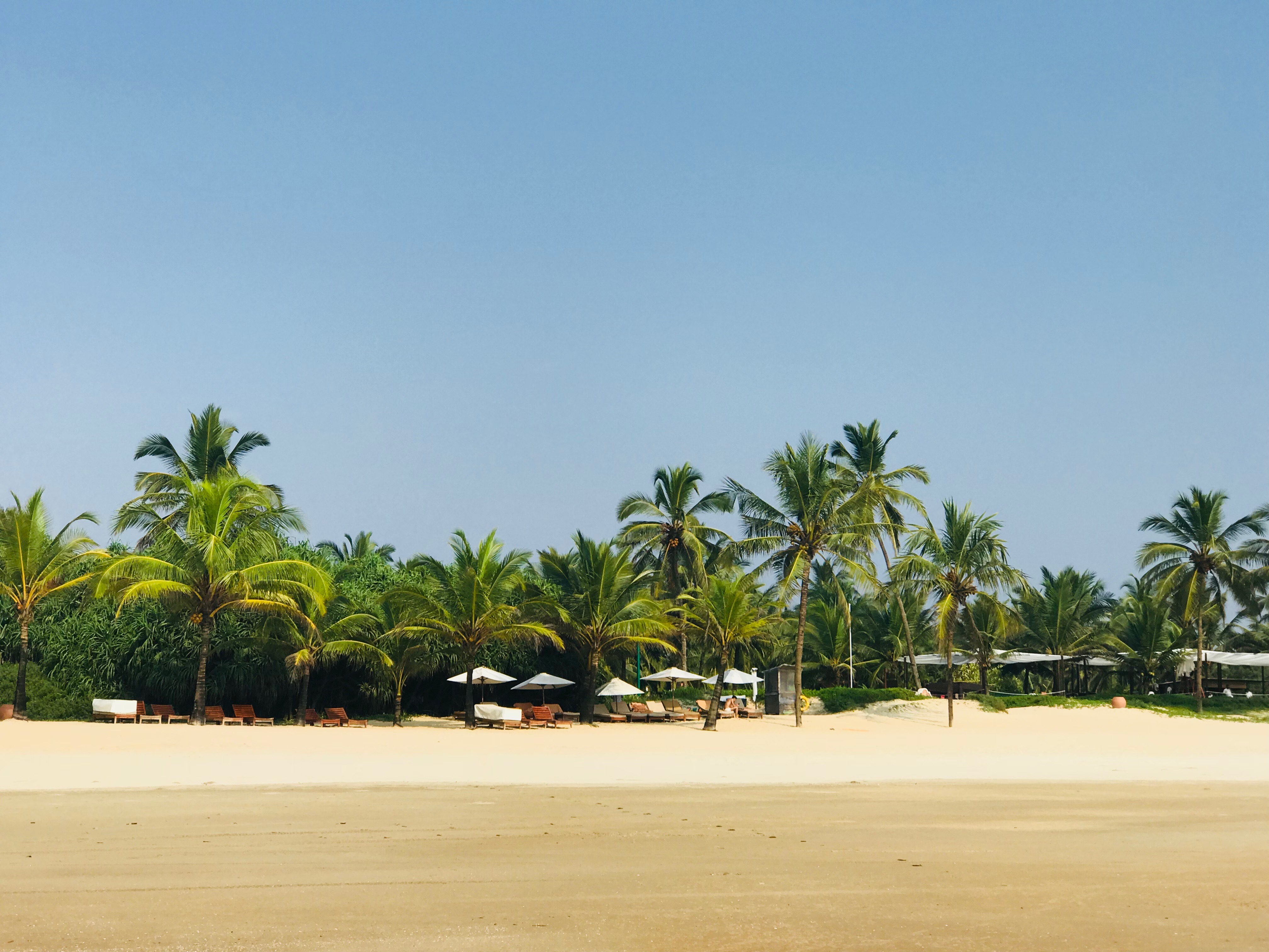 һ㶼ӡ | Park Hyatt Goa - Lagoon View King Suite