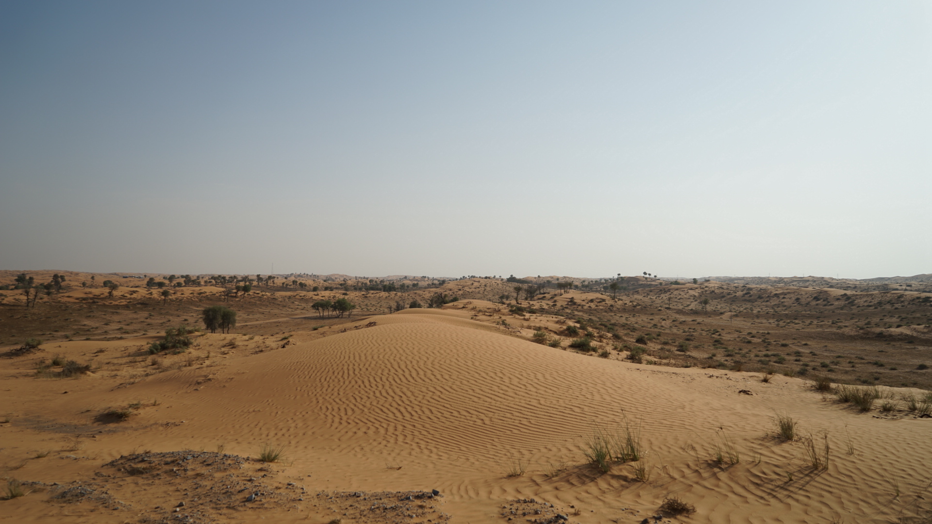 ּɳĮAl Wadi Desert, Ras Al Khaimah, a Ritz-Carlton partner hotel