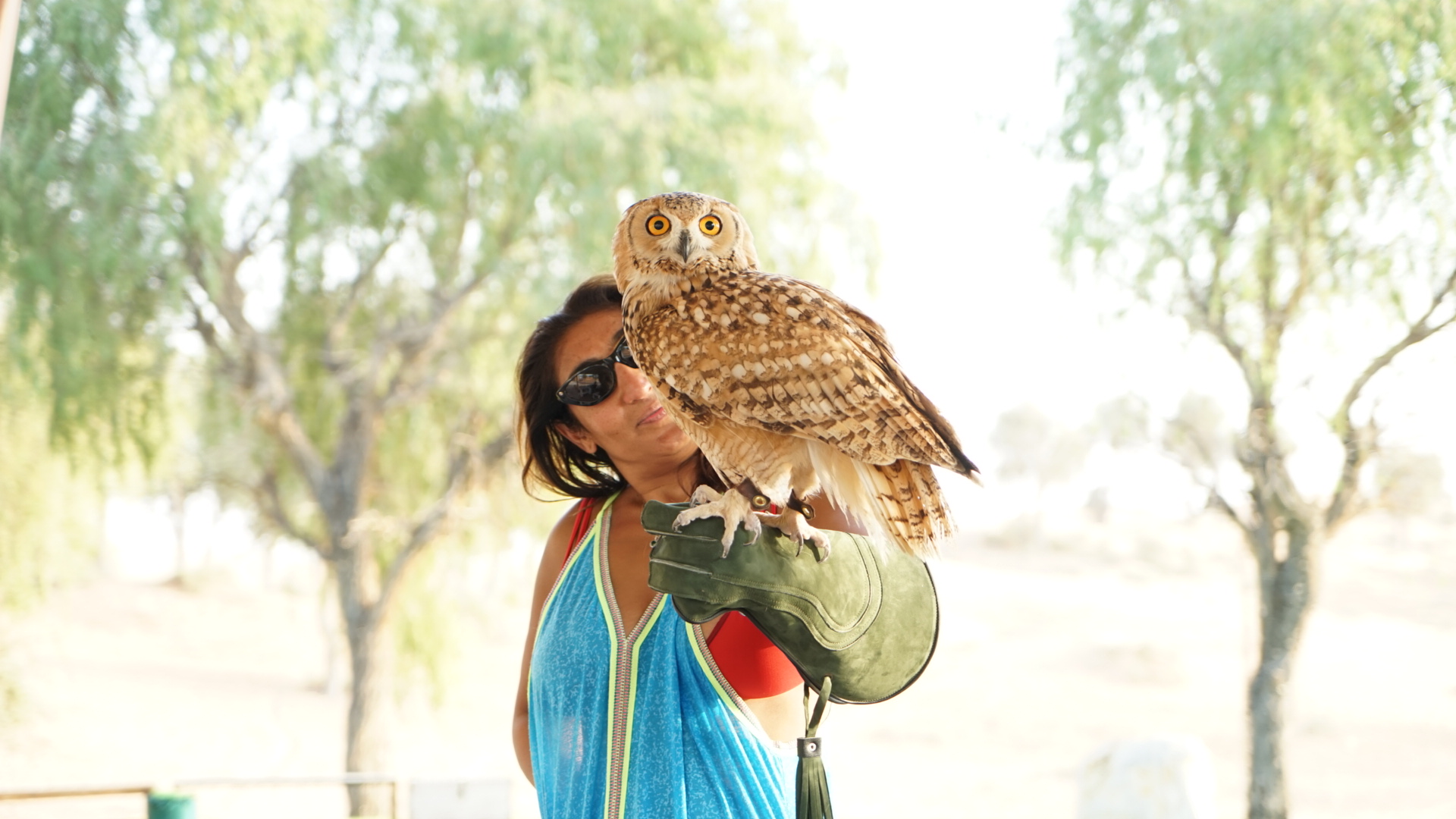 ּɳĮAl Wadi Desert, Ras Al Khaimah, a Ritz-Carlton partner hotel