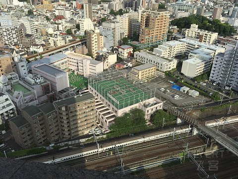 东京都喜来登（sheraton miyako hotel tokyo）翻新客房