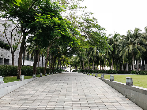探寻昔日网红——三亚半山半岛洲际 Report