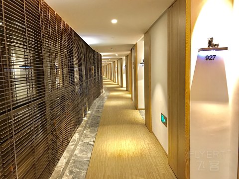 IMG_7219.jpg