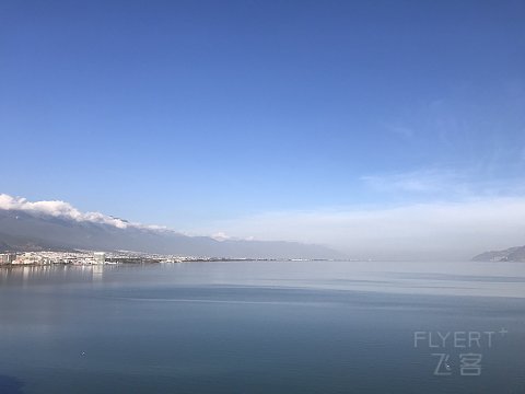 IMG_7249.jpg