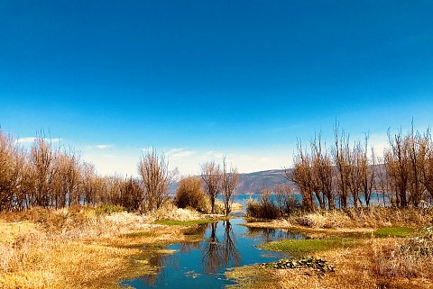 IMG_7279.jpg