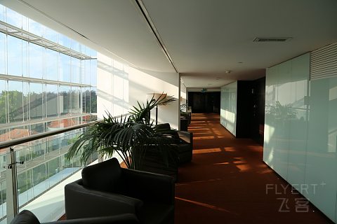葡萄牙：波尔图喜来登水疗酒店，很赞！+ 波尔图，吉马良斯，布拉加三古城