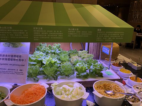 台北六福万怡酒店入住报告