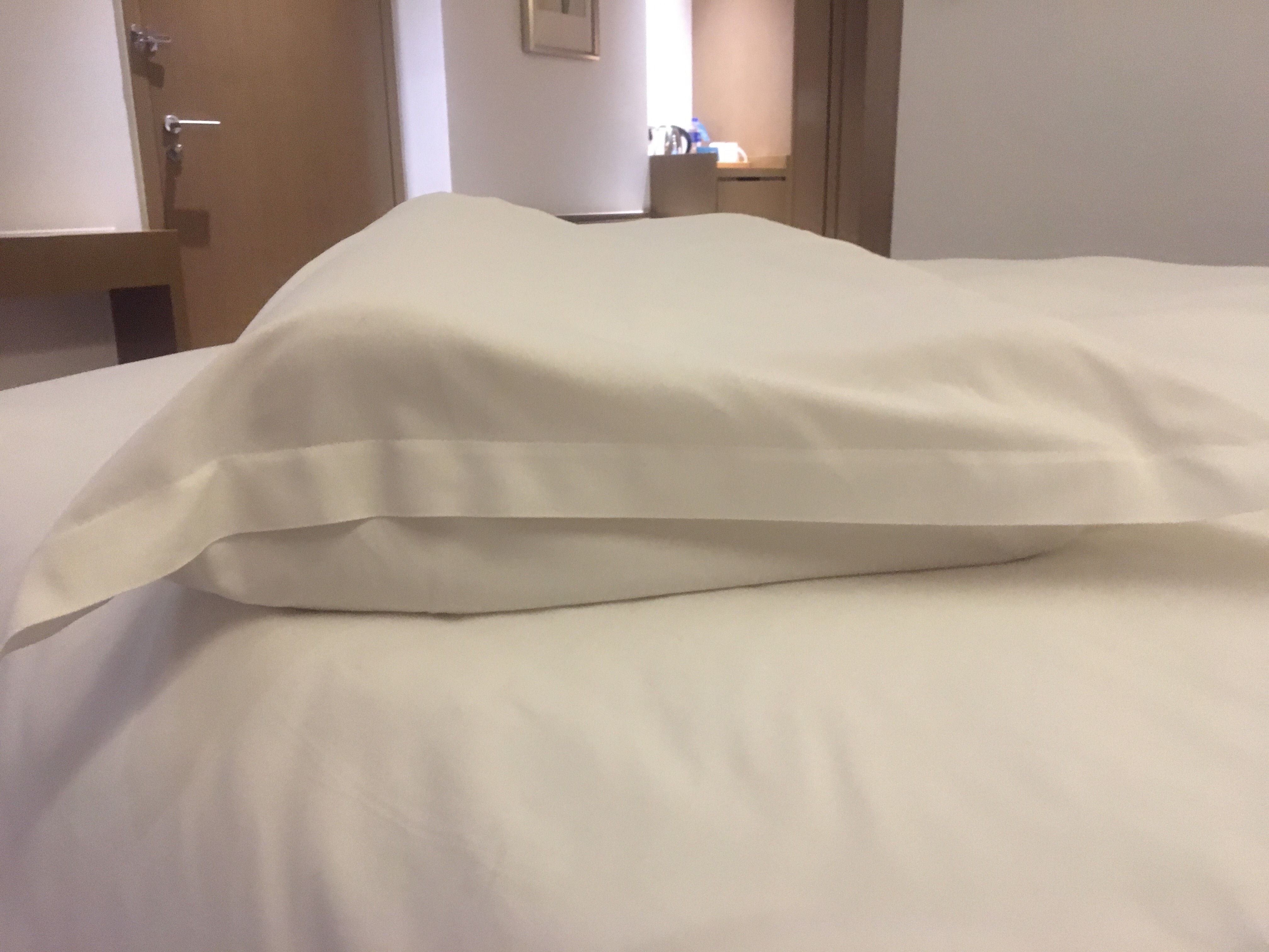 [Hilton]ˢʥشPKɽϣٻ԰vsϣٻ԰ûжԱȾû˺
