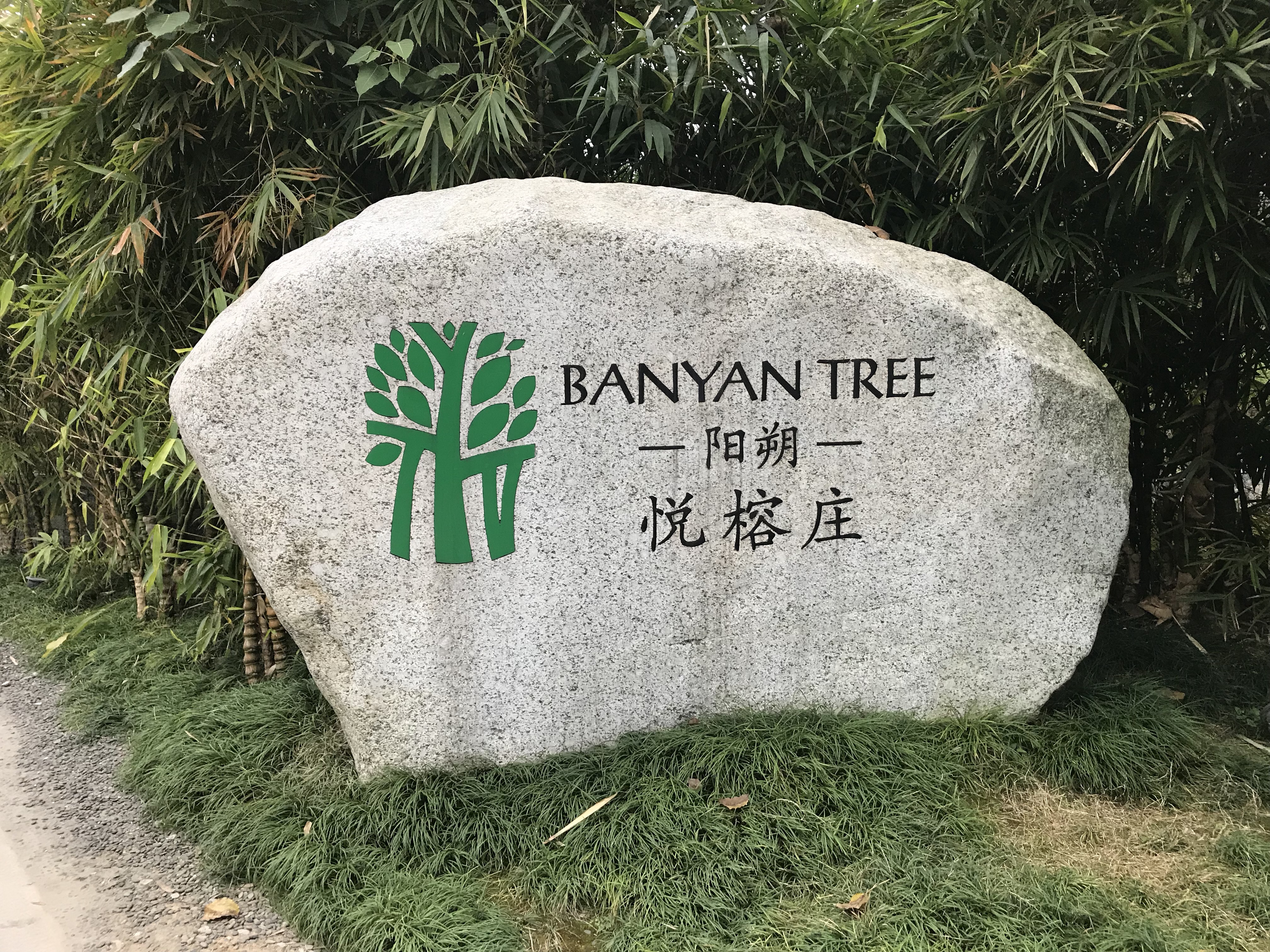 banyantreelogo图片