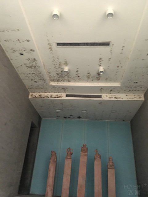杨柳依依，流水潺潺，蛙聒鸟鸣，悠然入眠。西溪悦榕庄小住。