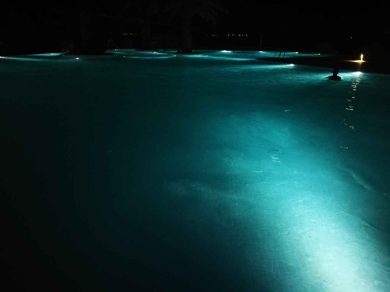 ɽ;ѡס