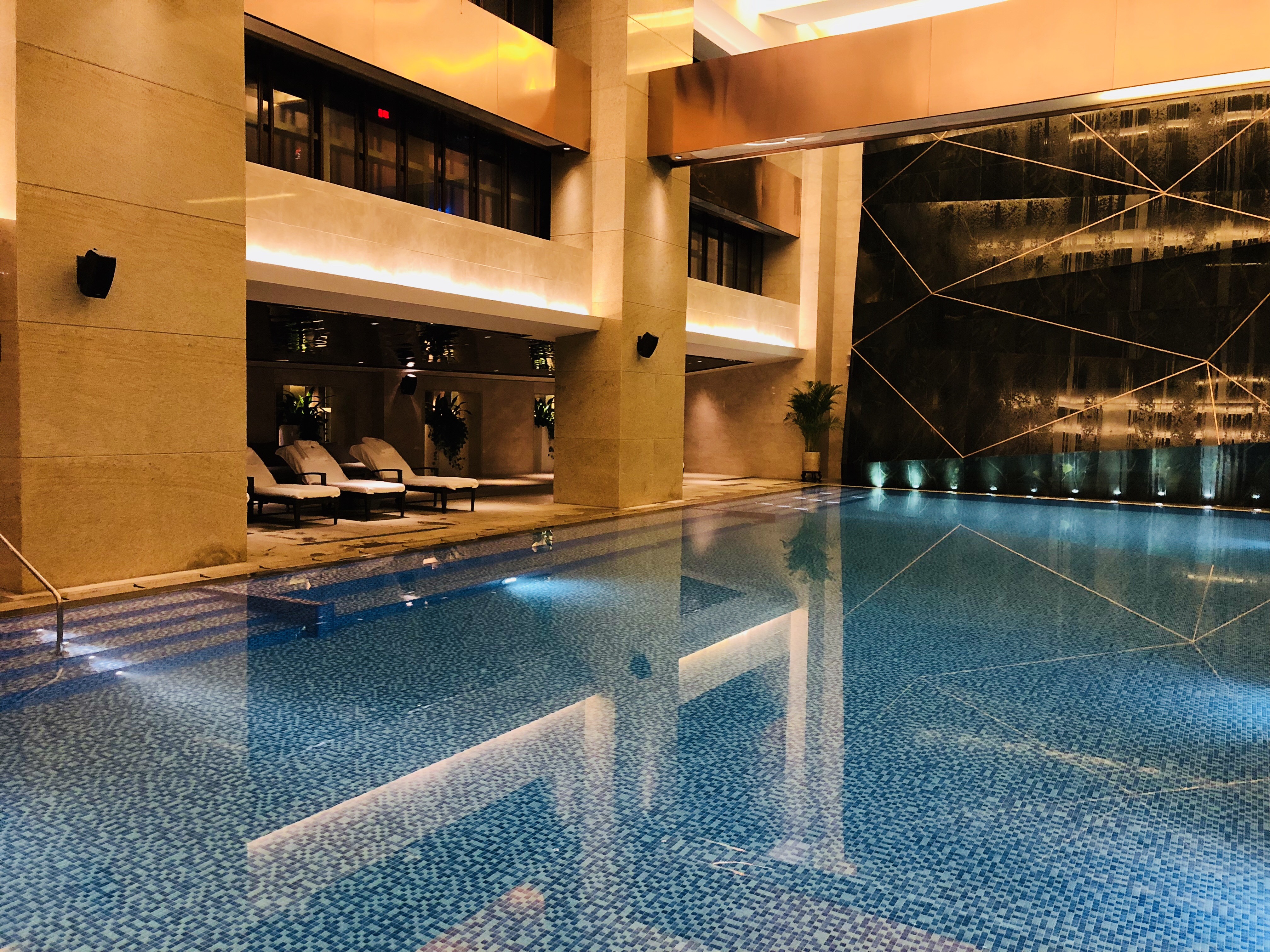 ļ Four seasons in Shenzhen