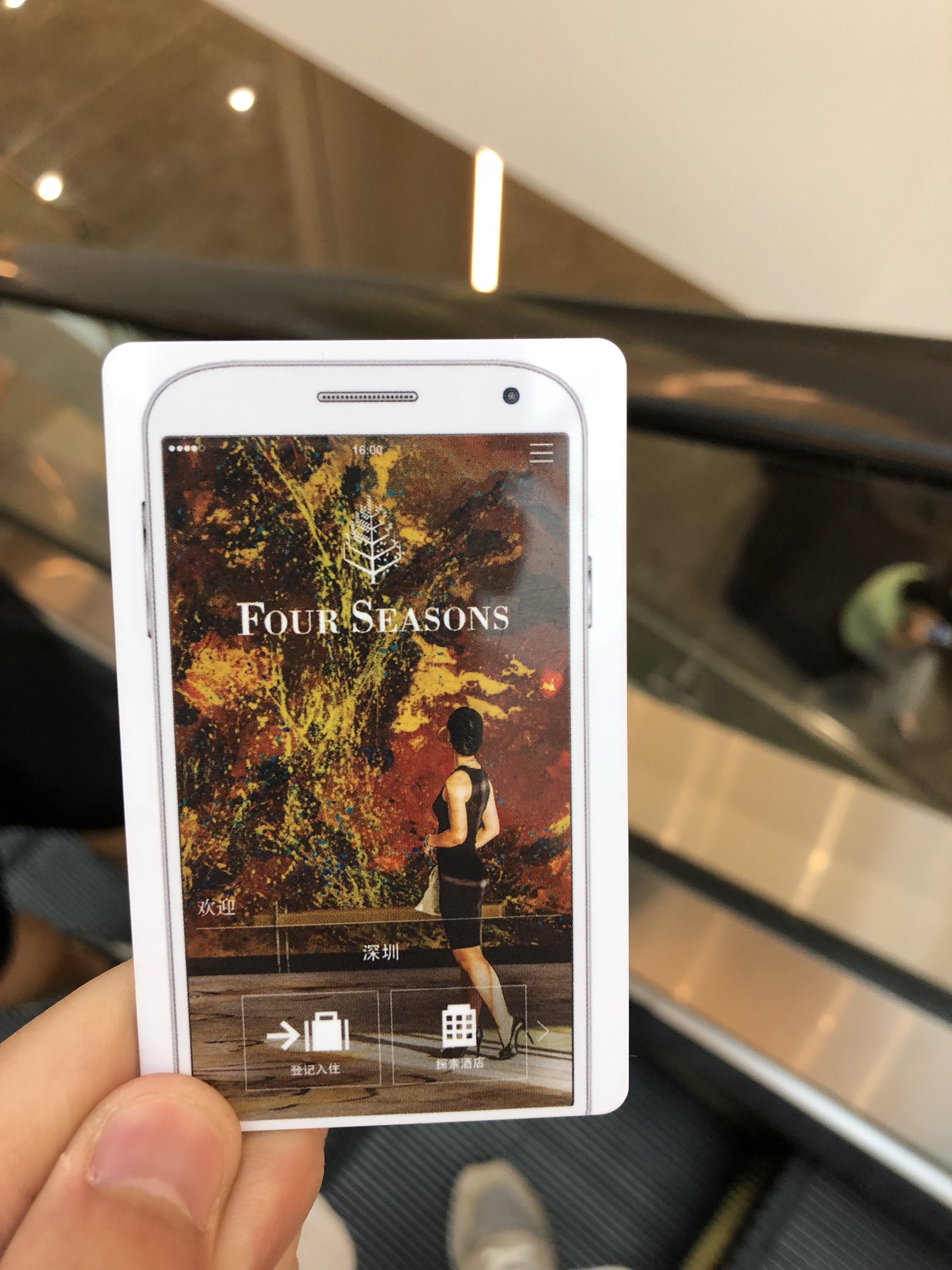 ļ Four seasons in Shenzhen