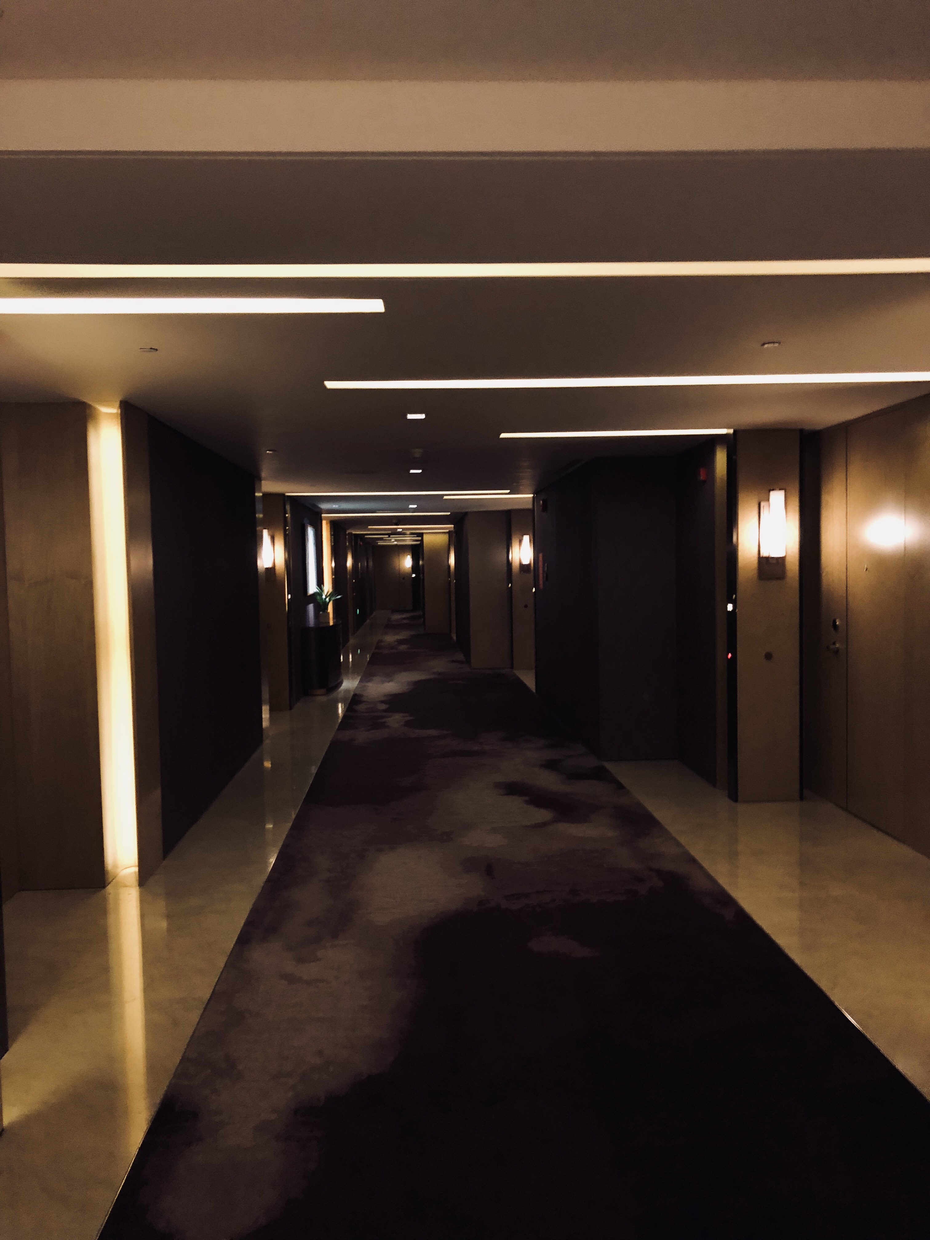 ļ Four seasons in Shenzhen