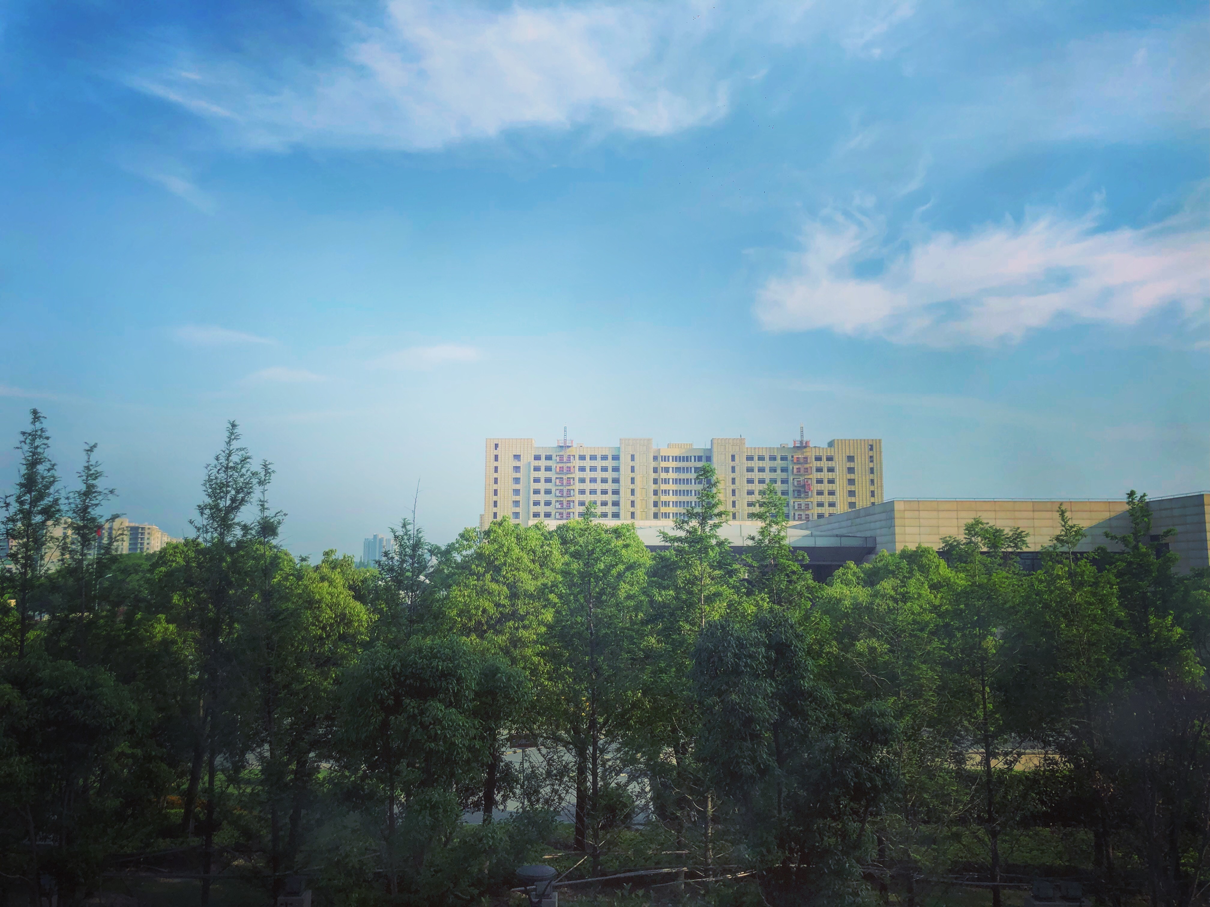 KIMI+ Ϻ | Marriott Hotel Shanghai Kangqiao