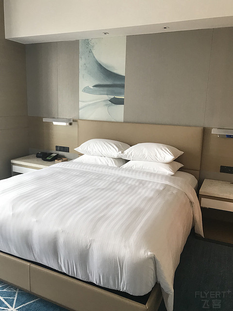 Touriism|一枝独秀 顺德联塑万怡酒店体验