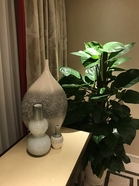 澳门喜来登金沙城中心酒店 Sheraton Grand Macau
