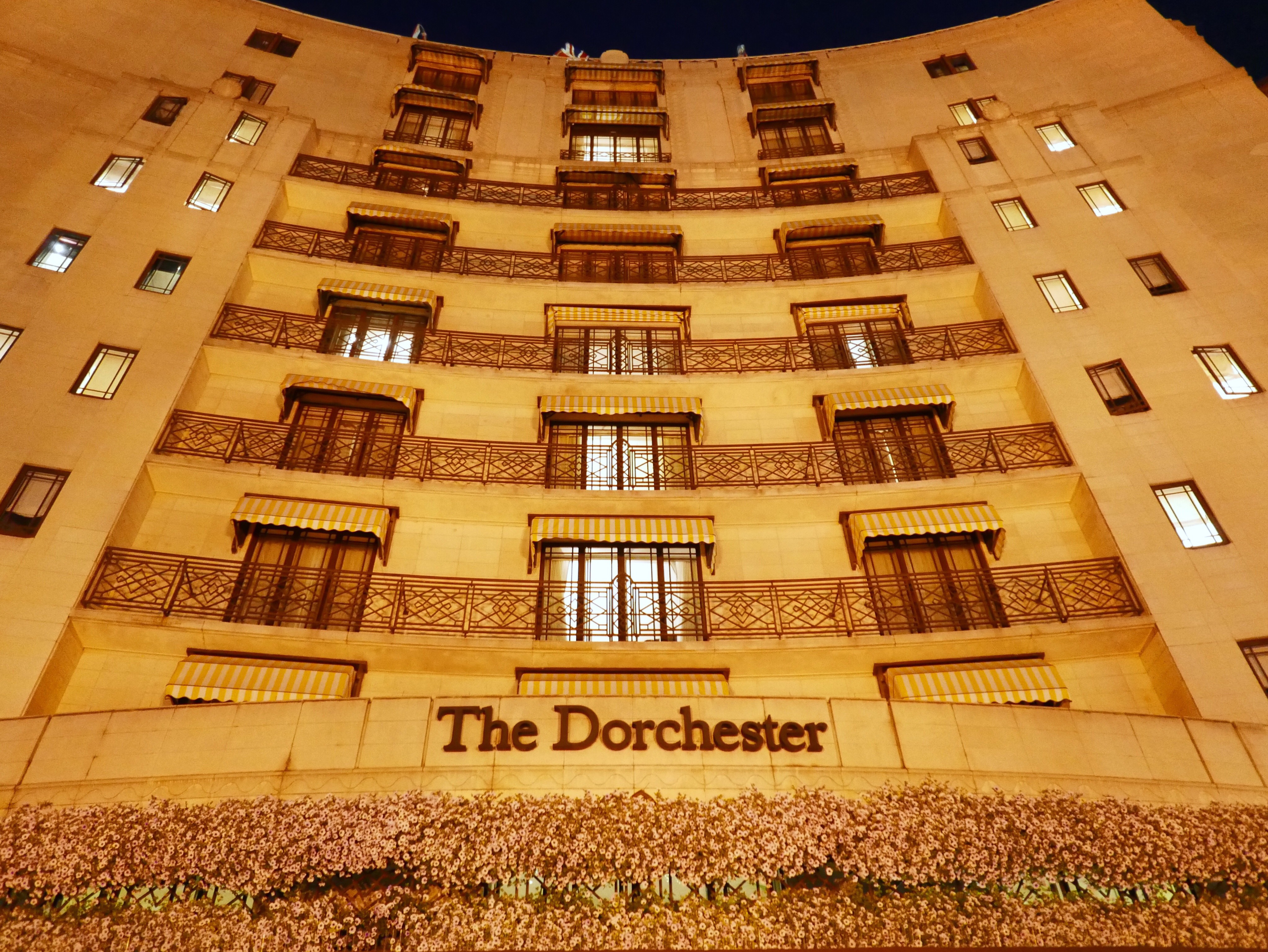׶ݻ˽֮--The Dorchester