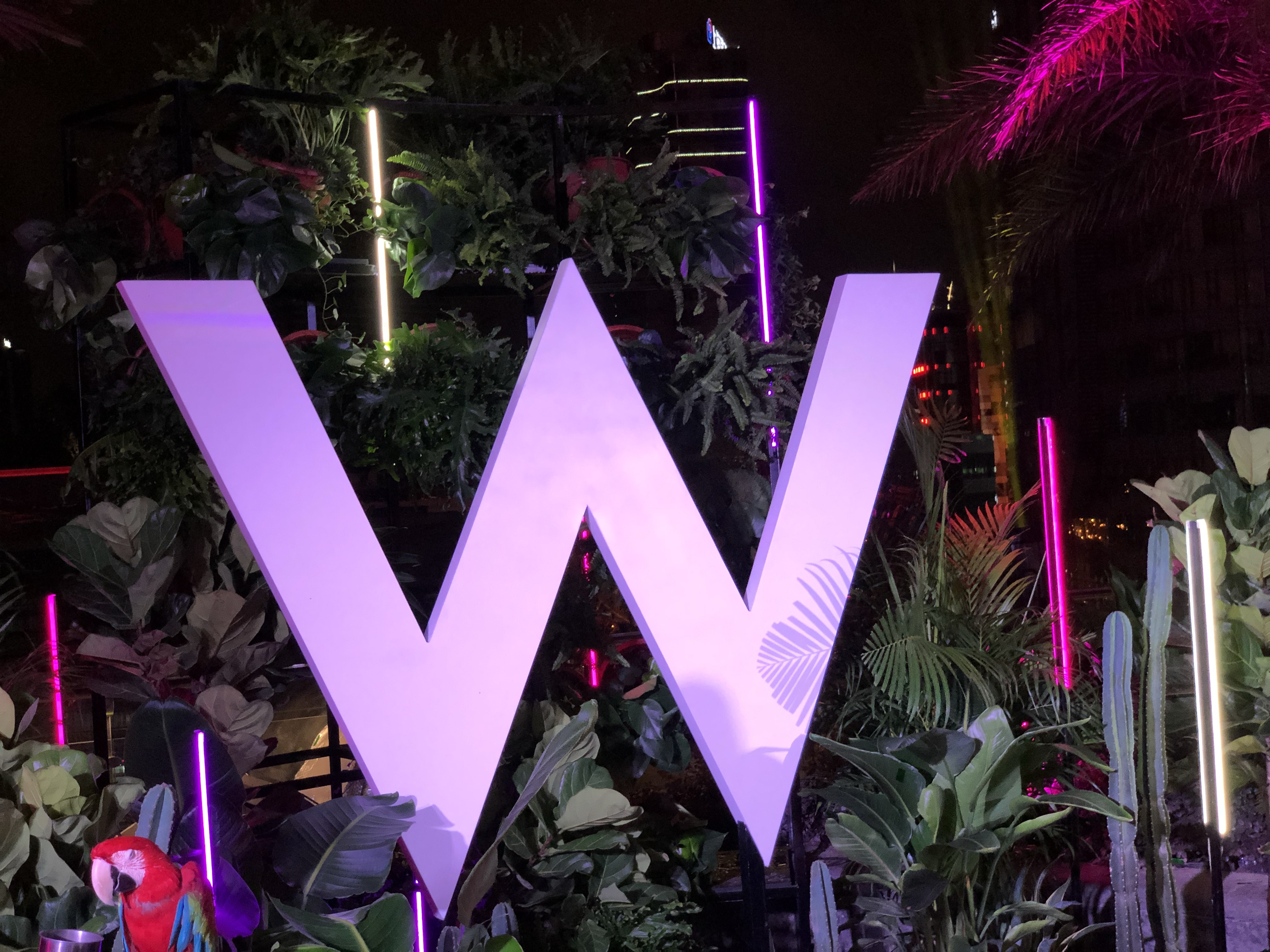 Ϻ̲W-WOWܷҰ