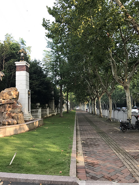 亚太区第一家德尔塔酒店——上海宝山德尔塔酒店打卡
