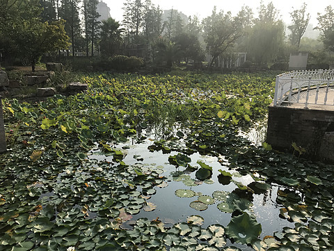 亚太区第一家德尔塔酒店——上海宝山德尔塔酒店打卡