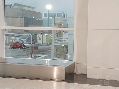 IMG_20181002_060539.jpg