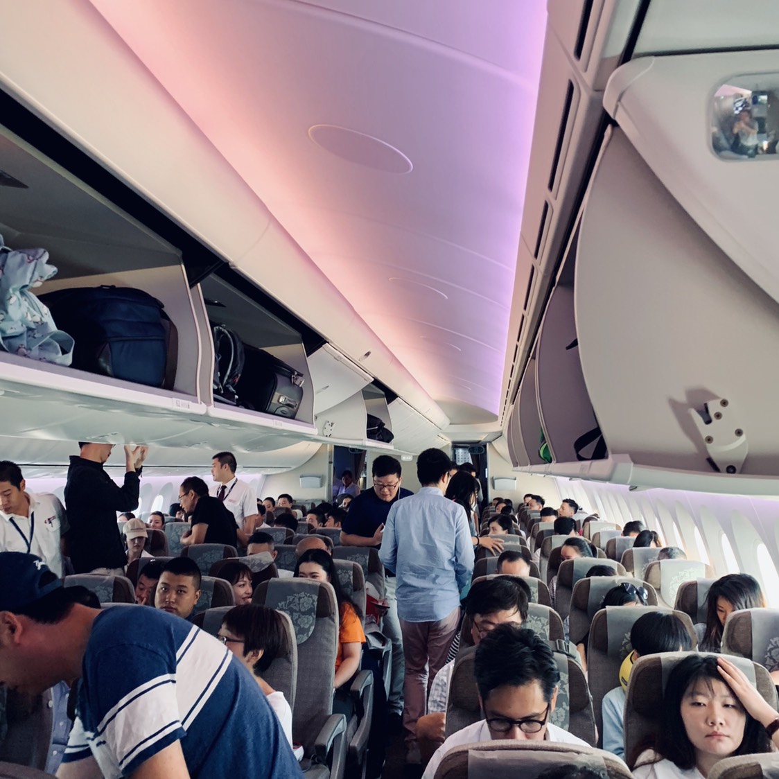 ϺB787-9 ׺Report